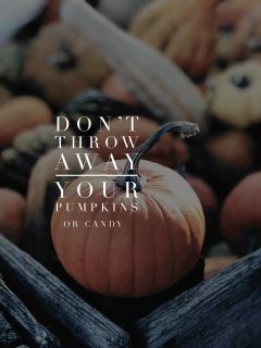 Seriously though. When I hear a friend proudly announce that “I just threw away all that crap”, it makes me gasp. 
But why, Becky, you’re all about clean living? 

Well this is why and this is part of clean living too! 
1. We throw away WAAAAY too much in this country.
2. We often only think about immediate impact of something on ourselves, versus the ripple effect of that choice. 
3. Just because we won’t eat a particular something, doesn’t mean it couldn’t still bring the exact joy someone is needing in their day. 
4. Farmers are STRUGGLING. If we buy pumpkins and then just want to throw them away, there’s an entire life cycle and food source that we are skipping. Donated pumpkins add needed nutrition for winter livestock needs. Often donation places do prefer the pumpkins in their most whole state, but it’s worth reaching out to your local groups to double check their specific requirements. 

Let’s all think beyond ourselves and our own convenience for a minute and consider the community impact we could have by opening our hands and minds a little wider.

Sincerely yours in clean, Becky

Ps: drop in the comments below if you have any other suggestions for where to donate these items! Love to crowdsource these things!