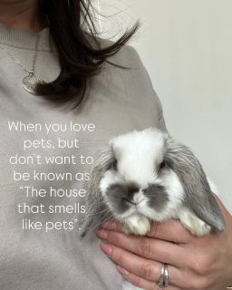 >>SWIPE above

If you know me, you know that not only do I love to keep a clean & tidy home, but I also only want to do it with the least amount of products and anything I do have must pass my “is it actually non-toxic and safe for my family and our pets” screening. Now this doesn’t mean that you won’t find a product or two in my cabinet that wouldn’t pass this test, but it does mean that these products are never my daily go tos! 

Indoor air quality is some of the WORST air you can breath, due to the fact that our furnishings are constantly off-gassing chemicals from manufacturing processes, we often clean our homes with products that are heavily fragranced with more off-gassing toxins, AND we rarely if ever open windows to recirculate air. 

I prefer simple methods to clean my home. Stock very minimal products - prefer multi-purpose, healthier for us options. AND we invest in high quality equipment that LASTS, to quickly clean up messes and reduce the amount of time spent cleaning too. 

Some of the easiest ways to clean and improve your indoor environment are: 
1. OPEN WINDOWS often (recirculates air)
2. Vacuum DAILY (this reduces dust from furnishings, etc, which lowers the VOC load in your home). I LOVE my Dyson. Longest lasting, while still deep cleaning, vacuum I’ve ever owned. 
3. Stock high quality, multi-purpose cleaners. My long time go to has been @humblesuds - save $ via link in my profile💕. Their products are phenomenal and work for all the things; laundry soap, illuminate, scour, spray, revival. 
4. Clean messes as soon as possible. The longer something sits the harder it gets to remove, especially pet messes. 

FYI: the worst cleaning chemical particles & VOCs are much heavier than air, meaning that when you clean your home with these things the vapors very quickly begin to settle at floor level, so the population most affected by these chemicals are small children and pets, because their air is most deeply impacted. 

Do your research. Simpler is better. Less is more. Invest in a good vacuum and if you have pets & kids, get a Little Green Bissell, you won’t regret it! 

What would you add? Want my list of cleaning go tos?